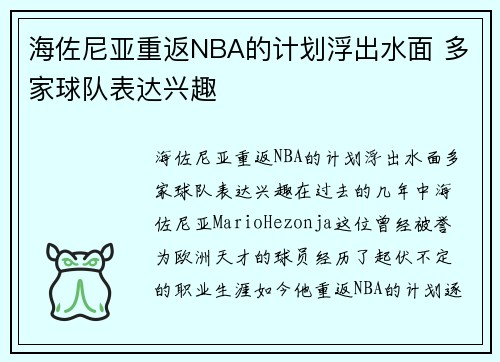 海佐尼亚重返NBA的计划浮出水面 多家球队表达兴趣